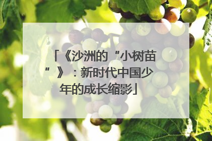 《沙洲的“小树苗”》：新时代中国少年的成长缩影