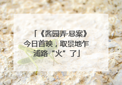《酱园弄·悬案》今日首映，取景地乍浦路“火”了