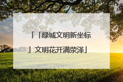 「绿城文明新坐标」文明花开满荥泽
