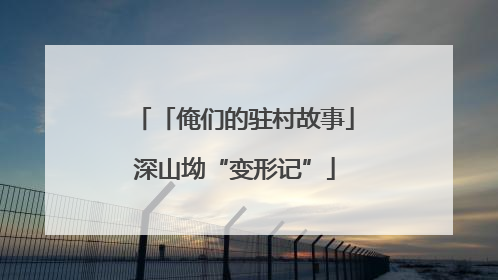 「俺们的驻村故事」深山坳“变形记”