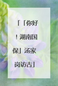 「你好！湖南国保」汤家岗访古