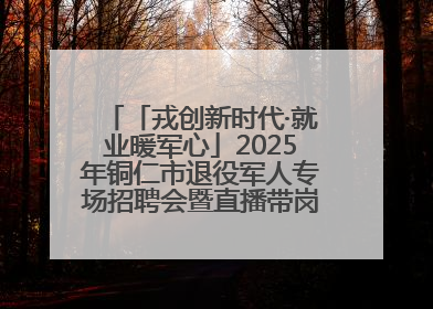 「戎创新时代·就业暖军心」2025年铜仁市退役军人专场招聘会暨直播带岗活动顺利举行
