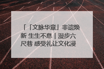 「文脉华章」非遗焕新 生生不息｜漫步六尺巷 感受礼让文化浸润的“巷”往生活