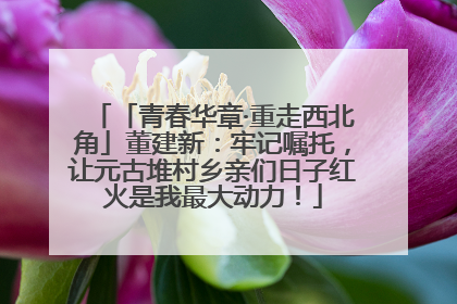 「青春华章·重走西北角」董建新：牢记嘱托，让元古堆村乡亲们日子红火是我最大动力！