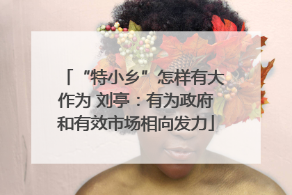“特小乡”怎样有大作为 刘亭：有为政府和有效市场相向发力