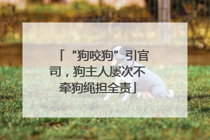 “狗咬狗”引官司，狗主人屡次不牵狗绳担全责