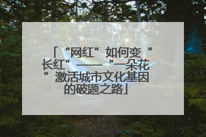 “网红”如何变“长红”——“一朵花”激活城市文化基因的破题之路