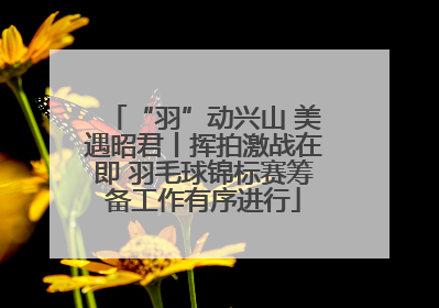 “羽”动兴山 美遇昭君丨挥拍激战在即 羽毛球锦标赛筹备工作有序进行