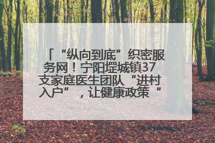 “纵向到底”织密服务网！宁阳堽城镇37支家庭医生团队“进村入户”，让健康政策“落地生根”