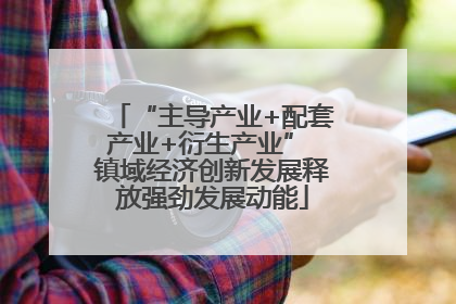 “主导产业+配套产业+衍生产业” 镇域经济创新发展释放强劲发展动能