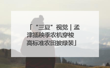 “三夏”视觉｜孟津插秧季农机穿梭 高标准农田披绿装