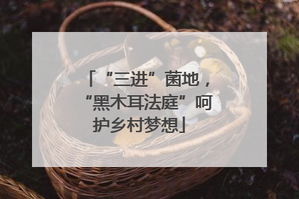 “三进”菌地，“黑木耳法庭”呵护乡村梦想