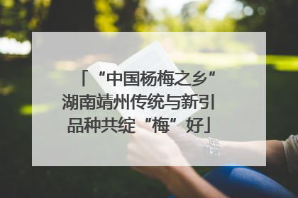“中国杨梅之乡”湖南靖州传统与新引品种共绽“梅”好