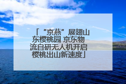 “京燕”展翅山东樱桃园 京东物流自研无人机开启樱桃出山新速度
