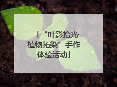 “叶影拾光·植物拓染”手作体验活动