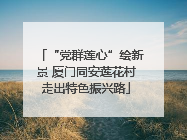 “党群莲心”绘新景 厦门同安莲花村走出特色振兴路