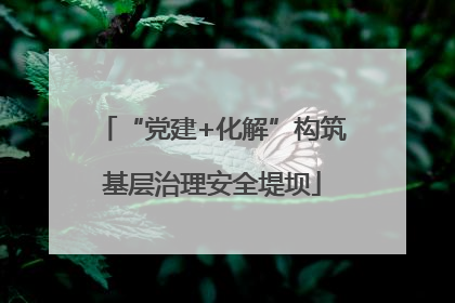 “党建+化解”构筑基层治理安全堤坝