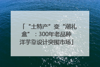“土特产”变“潮礼盒”：300年老品种洋芋靠设计突围市场