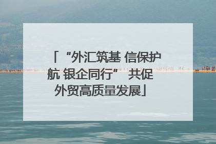 “外汇筑基 信保护航 银企同行” 共促外贸高质量发展