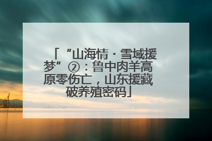 “山海情・雪域援梦”②：鲁中肉羊高原零伤亡，山东援藏破养殖密码