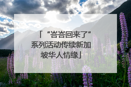 “峇峇回来了”系列活动传续新加坡华人情缘