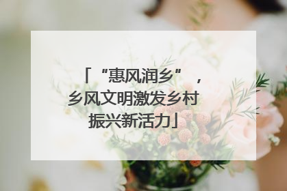 “惠风润乡”，乡风文明激发乡村振兴新活力