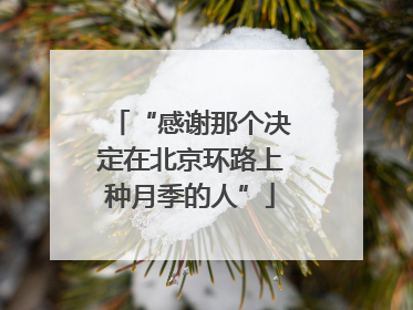 “感谢那个决定在北京环路上种月季的人”