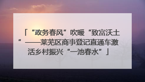 “政务春风”吹暖“致富沃土”——莱芜区商事登记直通车激活乡村振兴“一池春水”