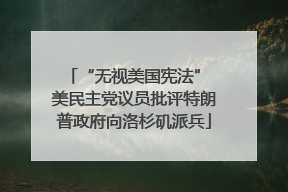 “无视美国宪法” 美民主党议员批评特朗普政府向洛杉矶派兵