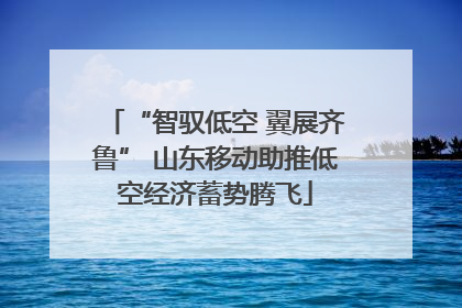 “智驭低空 翼展齐鲁” 山东移动助推低空经济蓄势腾飞