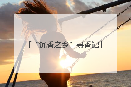 “沉香之乡”寻香记