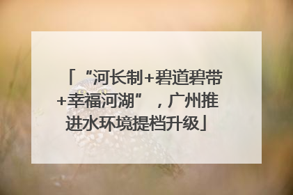 “河长制+碧道碧带+幸福河湖”，广州推进水环境提档升级