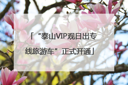 “泰山VIP观日出专线旅游车”正式开通