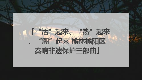“活”起来、“热”起来、“潮”起来 榆林榆阳区奏响非遗保护三部曲