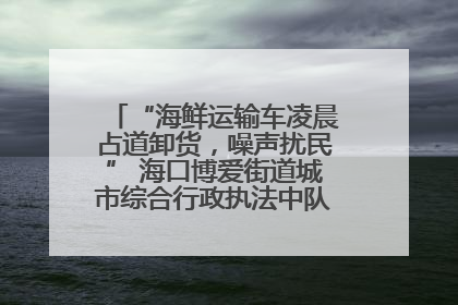 “海鲜运输车凌晨占道卸货，噪声扰民” 海口博爱街道城市综合行政执法中队：将联合交警加强长堤路一带巡逻