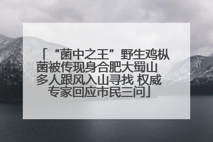 “菌中之王”野生鸡枞菌被传现身合肥大蜀山 多人跟风入山寻找 权威专家回应市民三问