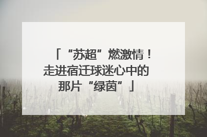 “苏超”燃激情！走进宿迁球迷心中的那片“绿茵”