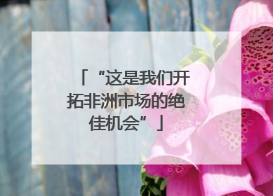 “这是我们开拓非洲市场的绝佳机会”