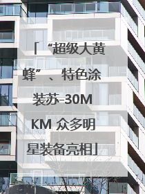 “超级大黄蜂”、特色涂装苏-30MKM 众多明星装备亮相