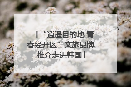 “逍遥目的地 青春经开区”文旅品牌推介走进韩国