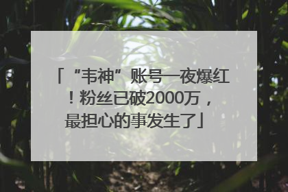 “韦神”账号一夜爆红！粉丝已破2000万，最担心的事发生了