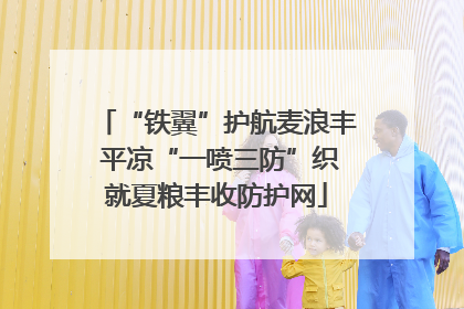 “铁翼”护航麦浪丰 平凉“一喷三防”织就夏粮丰收防护网