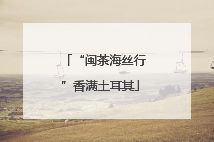 “闽茶海丝行”香满土耳其