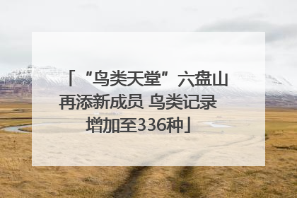 “鸟类天堂”六盘山再添新成员 鸟类记录增加至336种