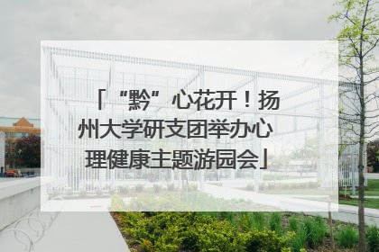 “黔”心花开！扬州大学研支团举办心理健康主题游园会