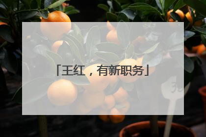 王红，有新职务