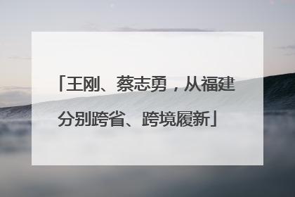 王刚、蔡志勇，从福建分别跨省、跨境履新