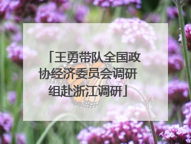 王勇带队全国政协经济委员会调研组赴浙江调研