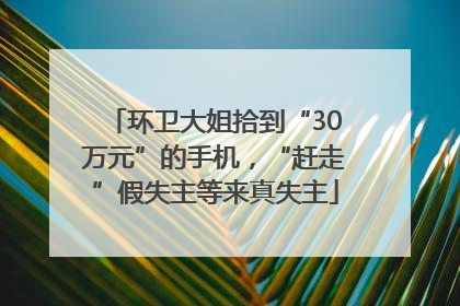 环卫大姐拾到“30万元”的手机，“赶走”假失主等来真失主
