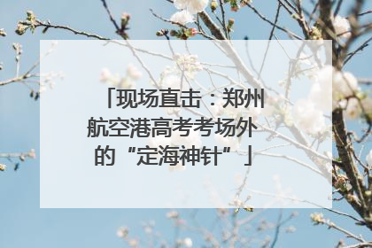 现场直击：郑州航空港高考考场外的“定海神针”